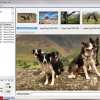 PPT-Bildextraktor