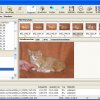 Picture-Kit